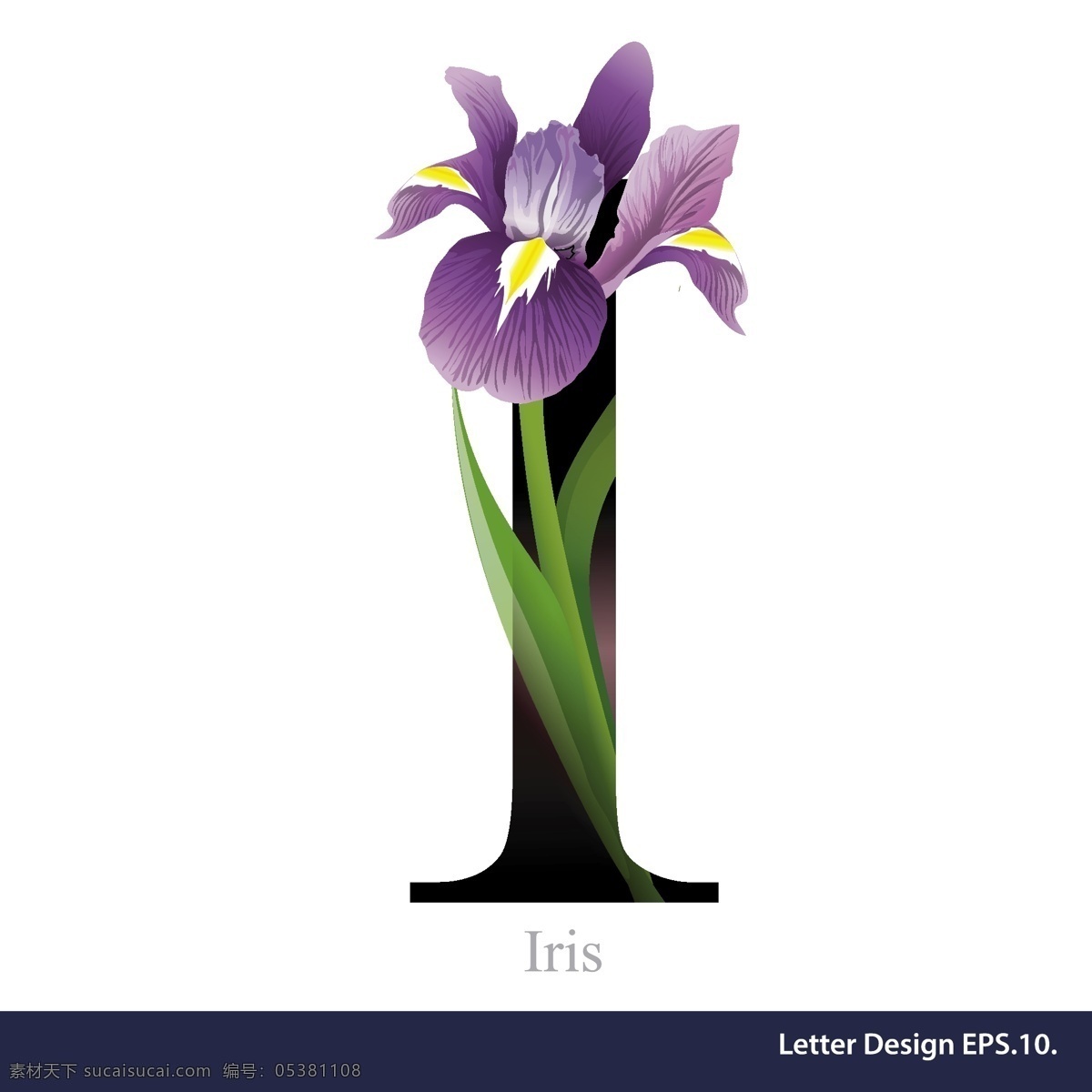 热带 紫色 花卉 英文 字母 字体 大写 数字 矢量 源文件