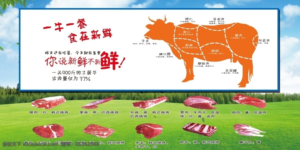 牛肉 分割图 分层