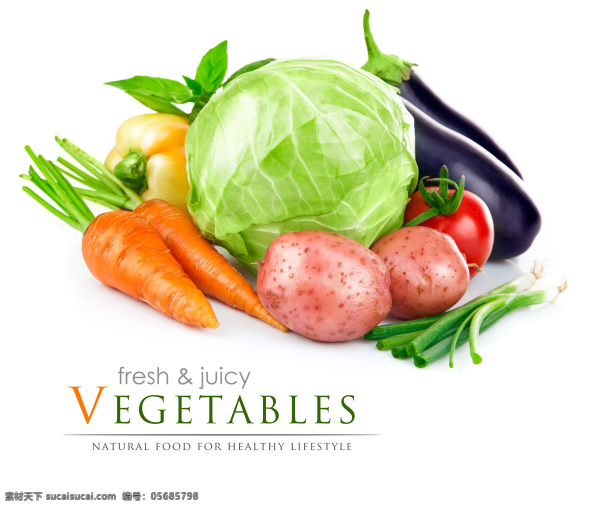 各种 蔬菜 英文 食物 饮食 烹饪 西红柿 茄子 胡萝卜 蔬菜图片 餐饮美食
