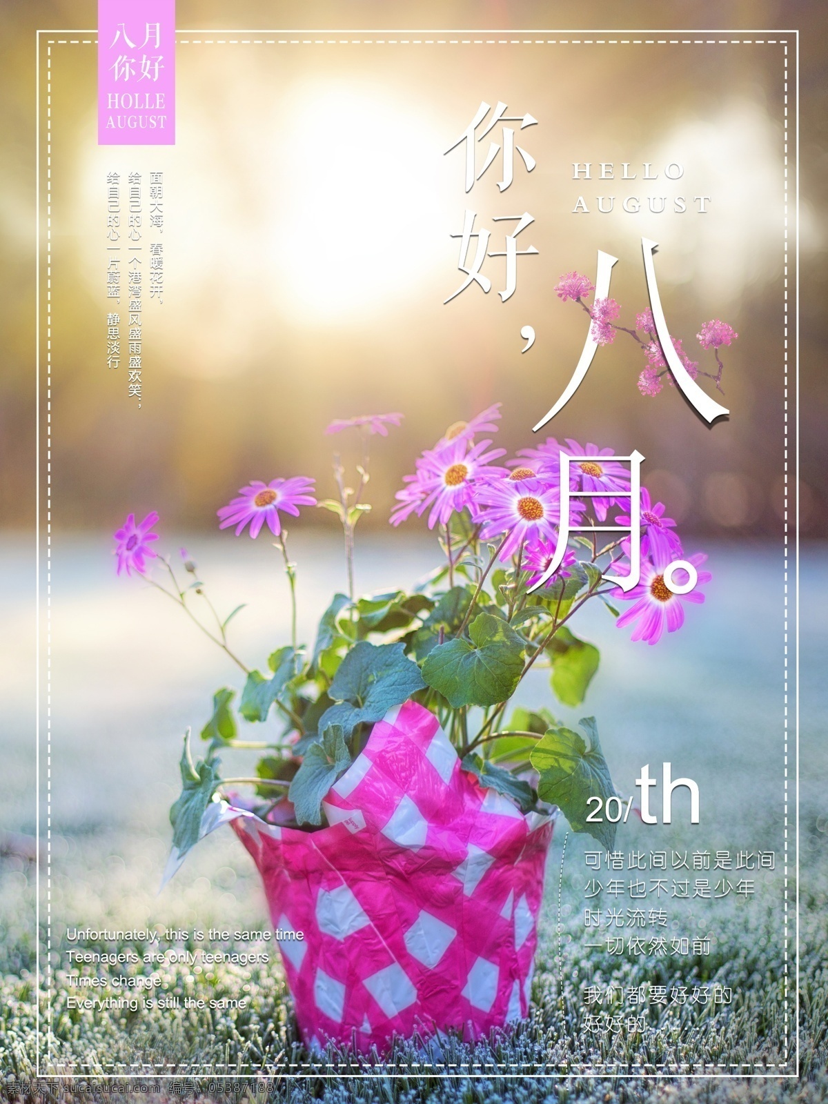 唯美 文艺 波斯菊 你好 八月 海报 极简 原创 夏天 夏天你好 你好夏天 夏季促销 夏天促销 小清新 相约夏天 月份 鸡汤 配图 朋友圈 走心