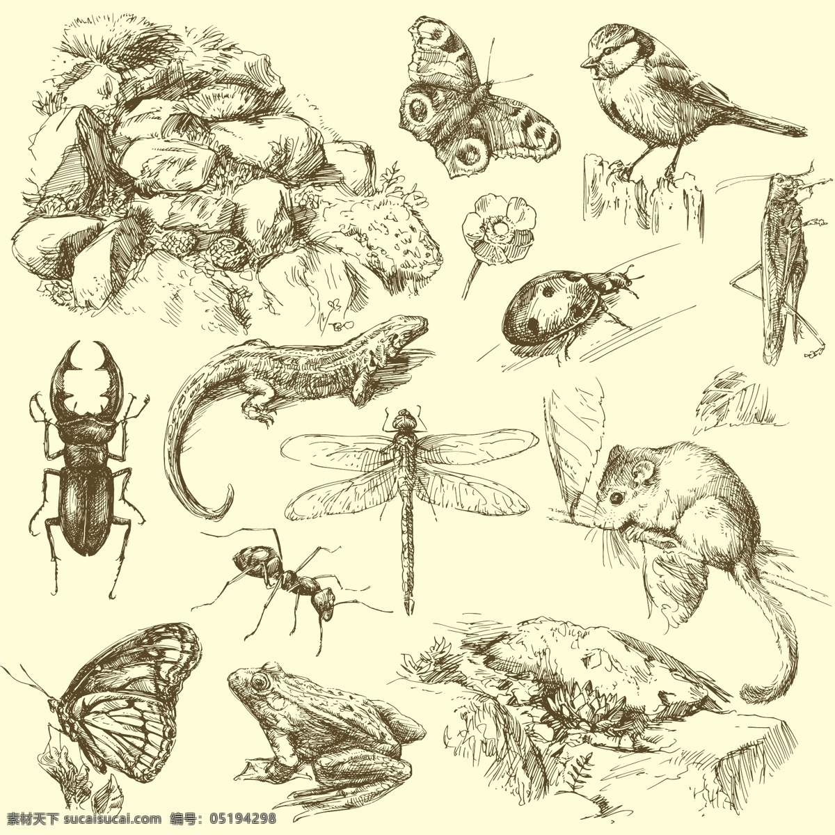 手绘动物 青蛙 老鼠 麻雀 昆虫 蚂蚁 蜻蜓 蝴蝶 手绘素描动物 手绘 剪影 素描 复古 简笔画 插画 动物 生物世界 矢量素材 矢量 美术绘画 文化艺术 野生动物