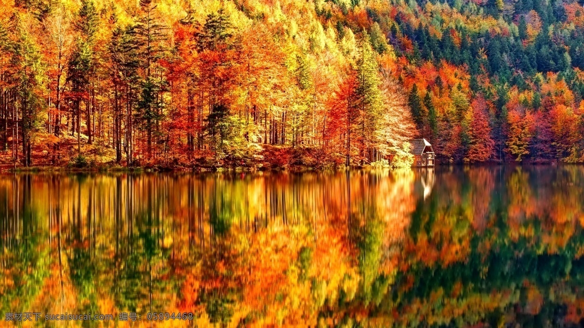 秋景倒影 秋天 树叶 秋景 湖水 倒影 自然景观 自然风景