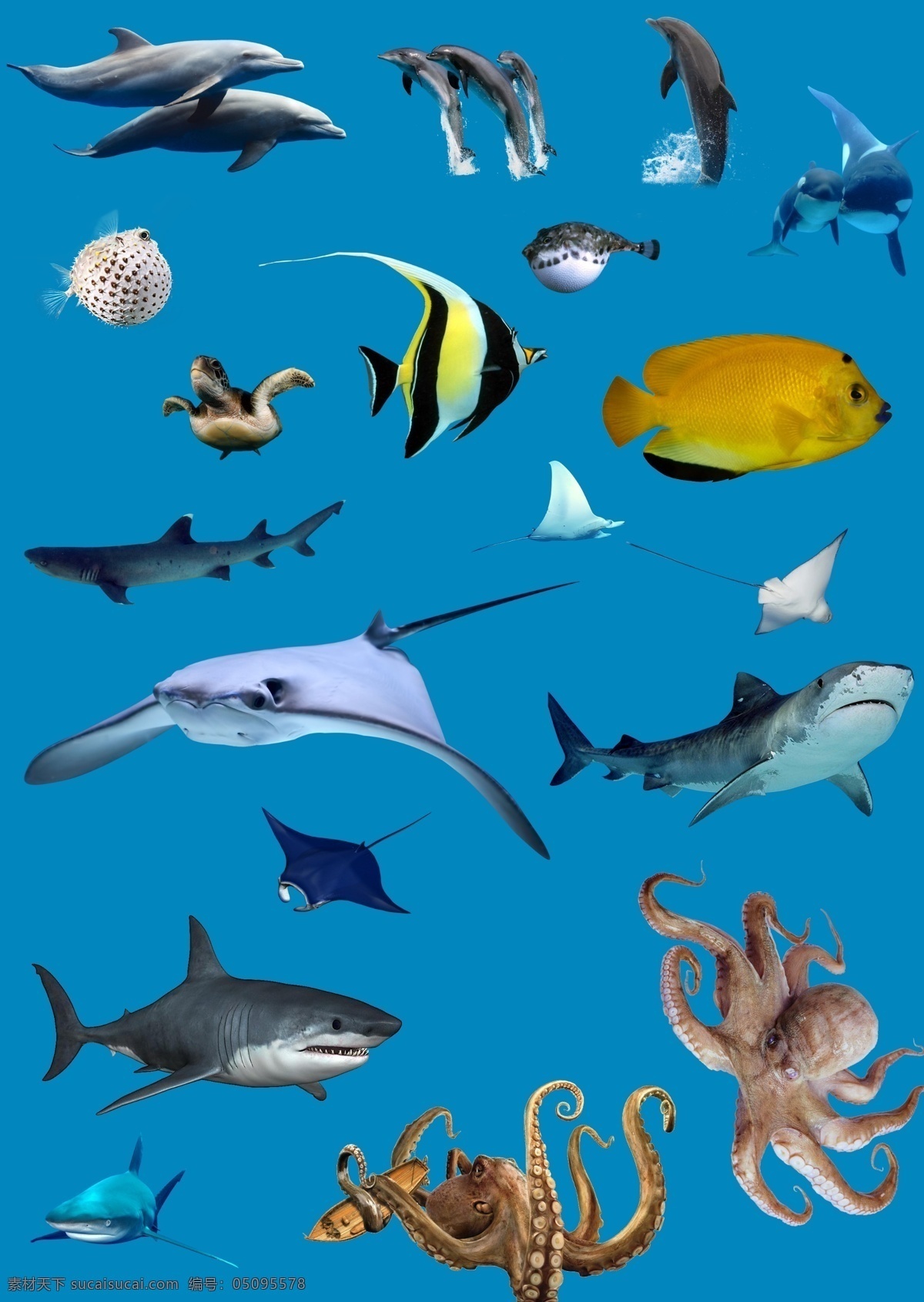 海洋生物 集合 海底世界 海豚 海洋素材 鲨鱼 鱼 章鱼 png素材 魔鬼鱼 小丑鱼 河豚 海龟八爪鱼 海洋