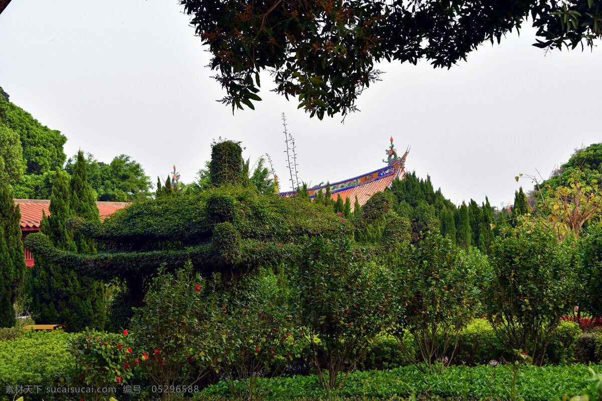 福建 泉州 开元寺 风景