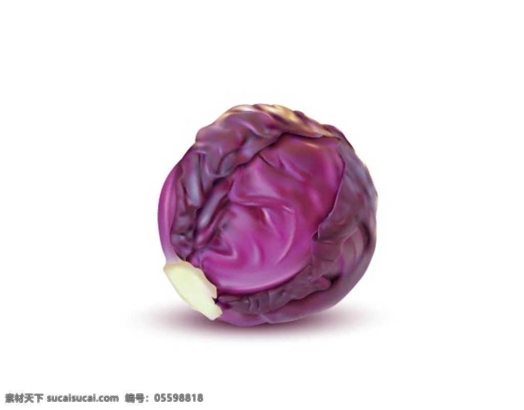 紫甘蓝图片 食品 蔬菜 素食 烹饪 新鲜蔬菜 蔬菜素材 有机素菜 绿色蔬菜 紫甘蓝 甘蓝 紫白菜 有机紫甘蓝 紫包菜 紫包菜球 包菜