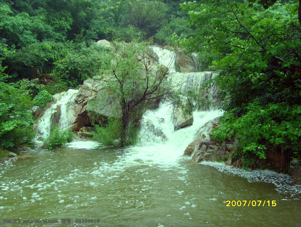 树免费下载 风景 山水风景 摄影图 树 植物 自然景观 水 家居装饰素材 山水风景画