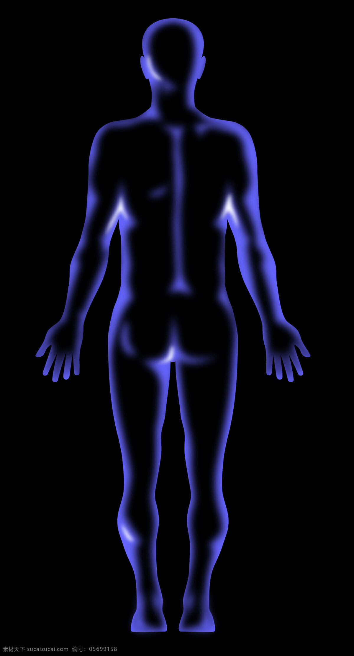 男性 人体 解剖 站 黑色