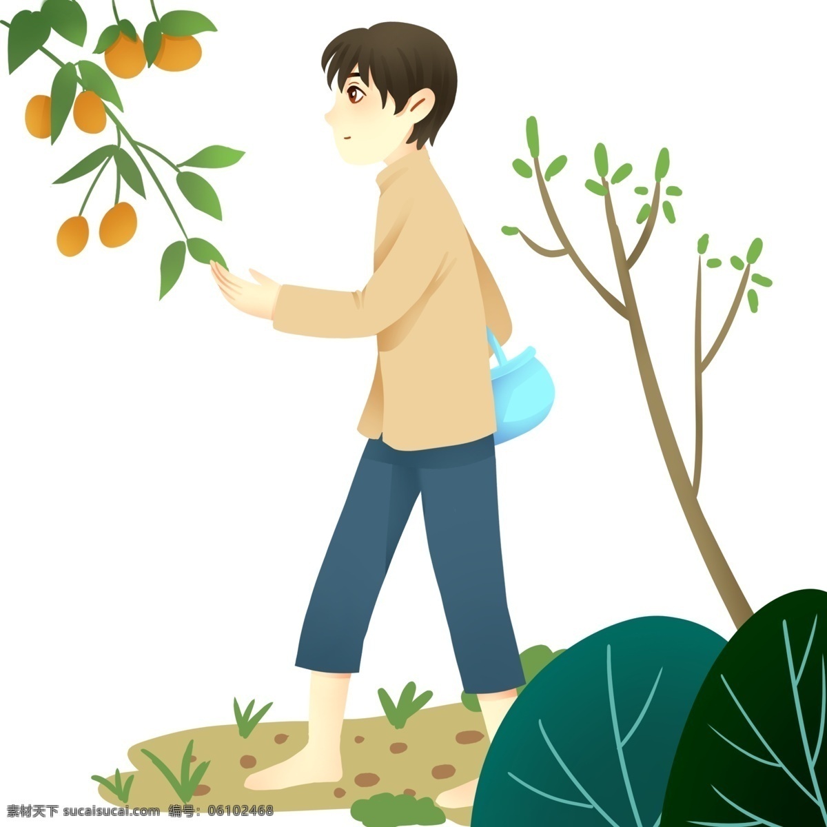 春游 摘 果子 男孩 插画 踏青 人物 摘果子男孩 植物装饰 卡通人物 果树树木 拿篮子的男孩