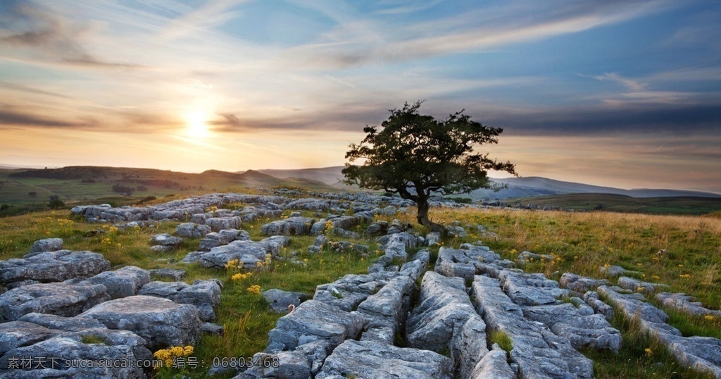 风景图片 风景 桌面壁纸 自然景观 自然风景 壁纸图片 壁纸 山水风景 山水画图片 河流 唯美图片 风景画 风景壁纸 唯美壁纸 唯美素材 背景图片 背景素材 蓝天白云 大自然 高清风景图片 拍摄 生态 绿叶 花 草 植物 植物特写 拍摄素材