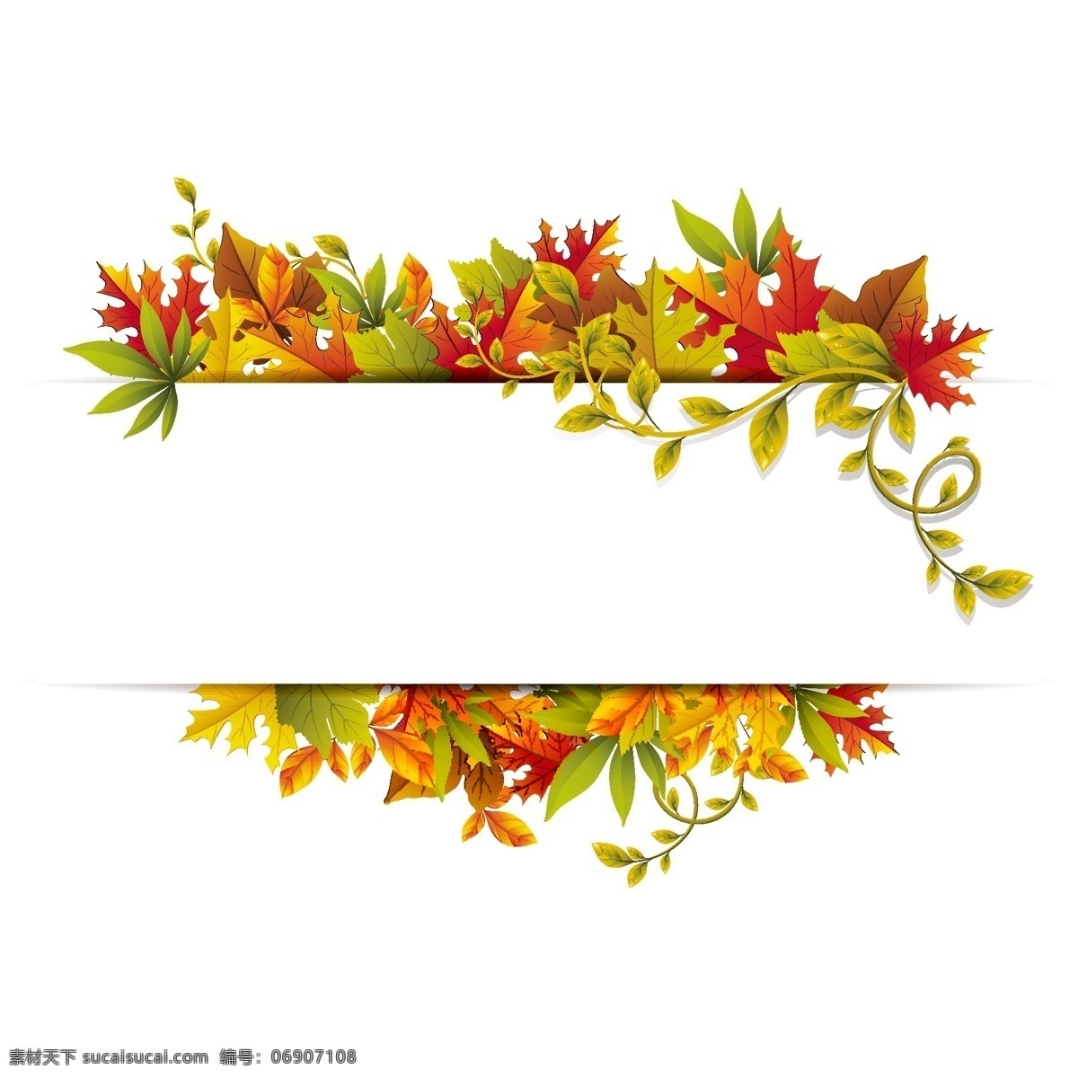 精美 树叶 装饰 背景 花纹 落叶 秋天 植物 矢量图 花纹花边