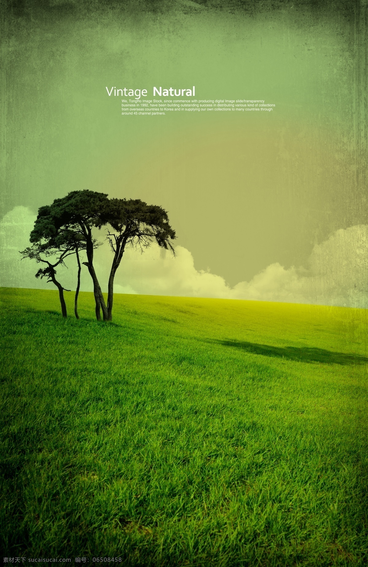 高清 分层 绿色 世界 白云 草地 风光 风景 蓝天 生态 小树 自然 psd源文件