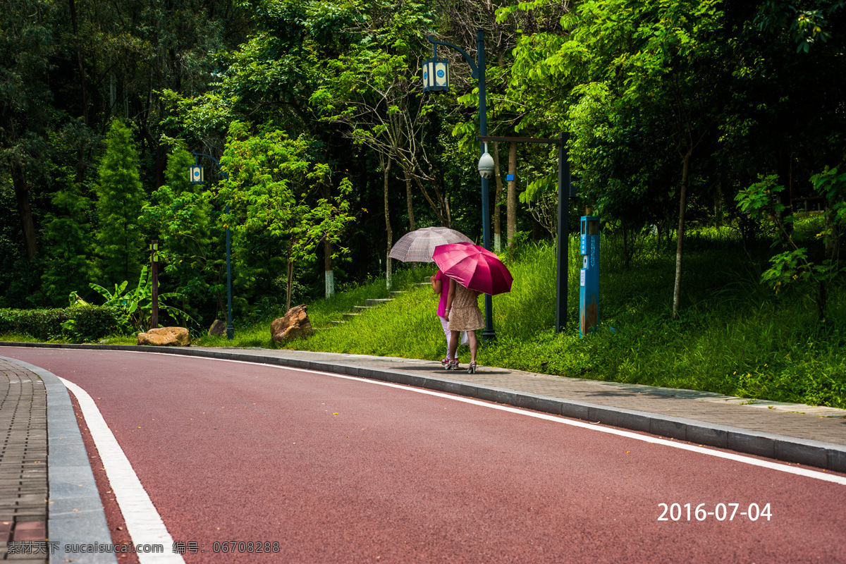 路 小路 道路 绿道 园林 树木 休闲 景观 公园 绿化 景观园林 旅游摄影 自然风景