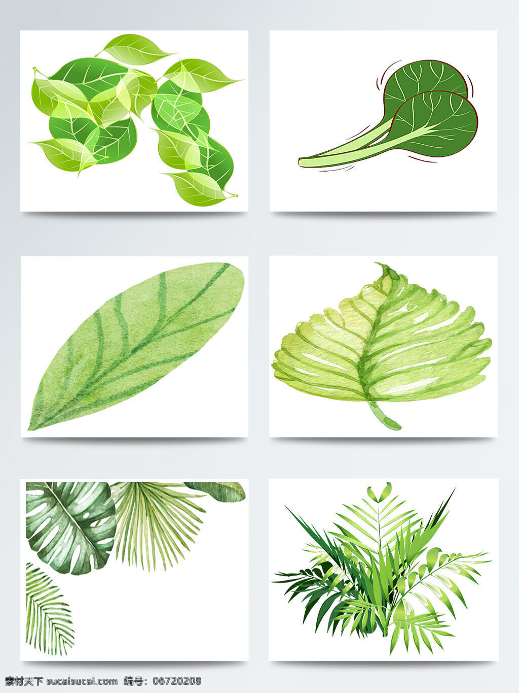 二十四节气 立春 手绘 树叶 元素 图案 传统 节气 卡通叶子 立春节气 绿色