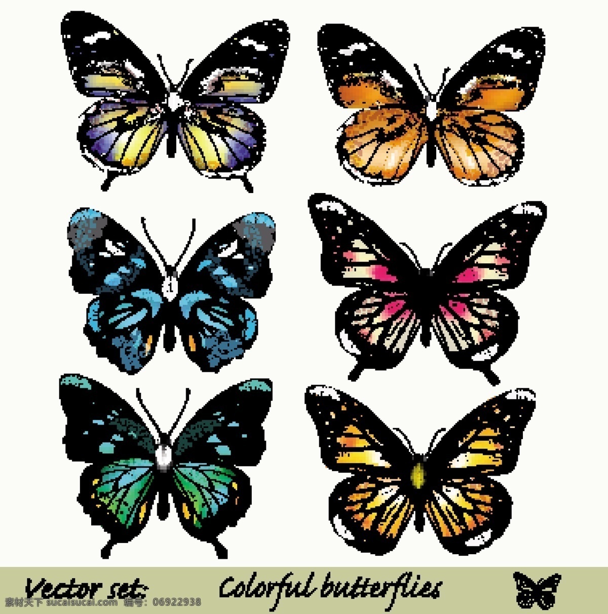 蝴蝶 彩蝶 飞蝶 butterfly 昆虫 虫子 生物世界