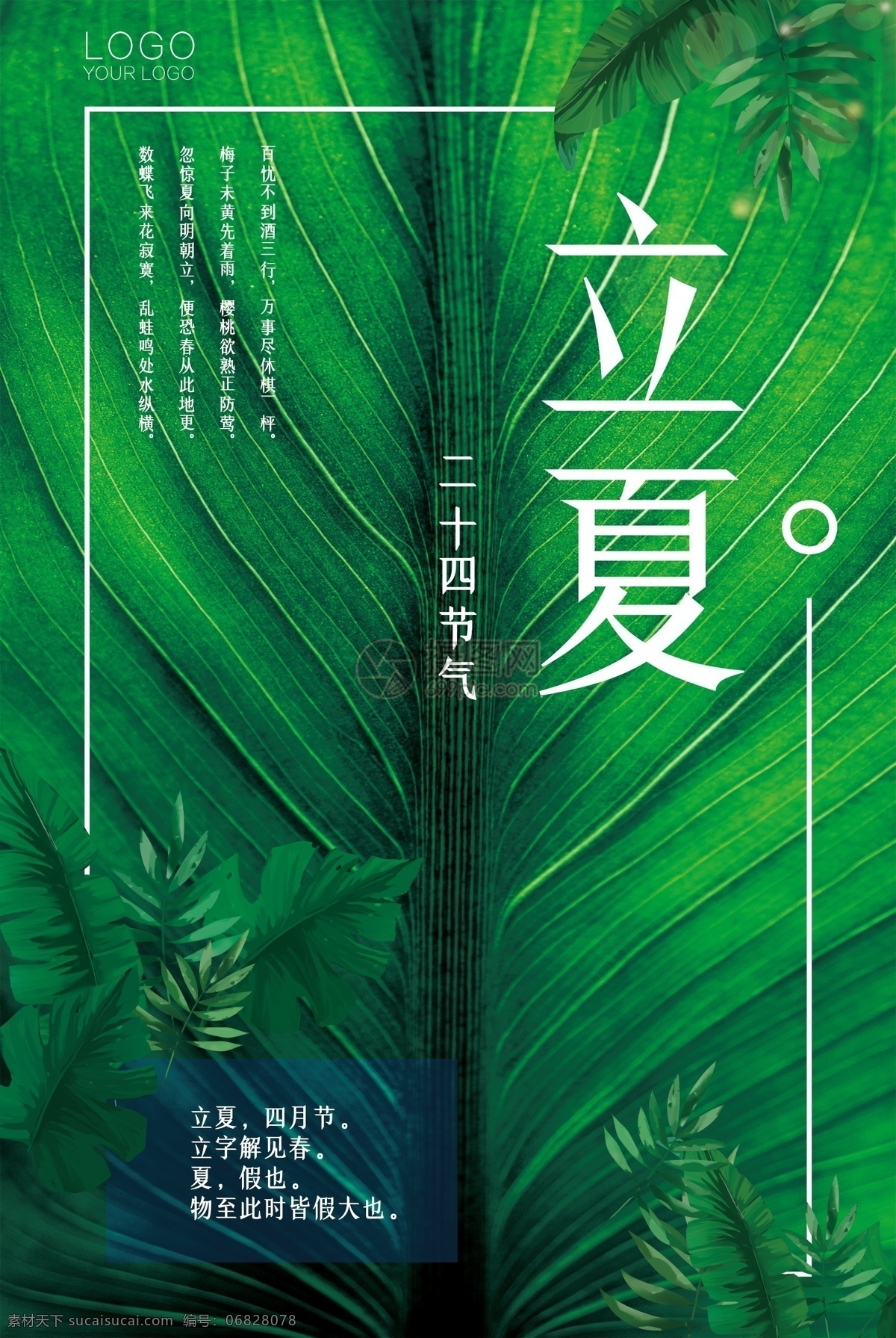 二十四节气 立夏 海报 模板 节气 立夏节气 绿色 清新夏日 农历 立夏唯美海报 夏天 中国风海报 立夏节气海报 小荷 绿叶立夏