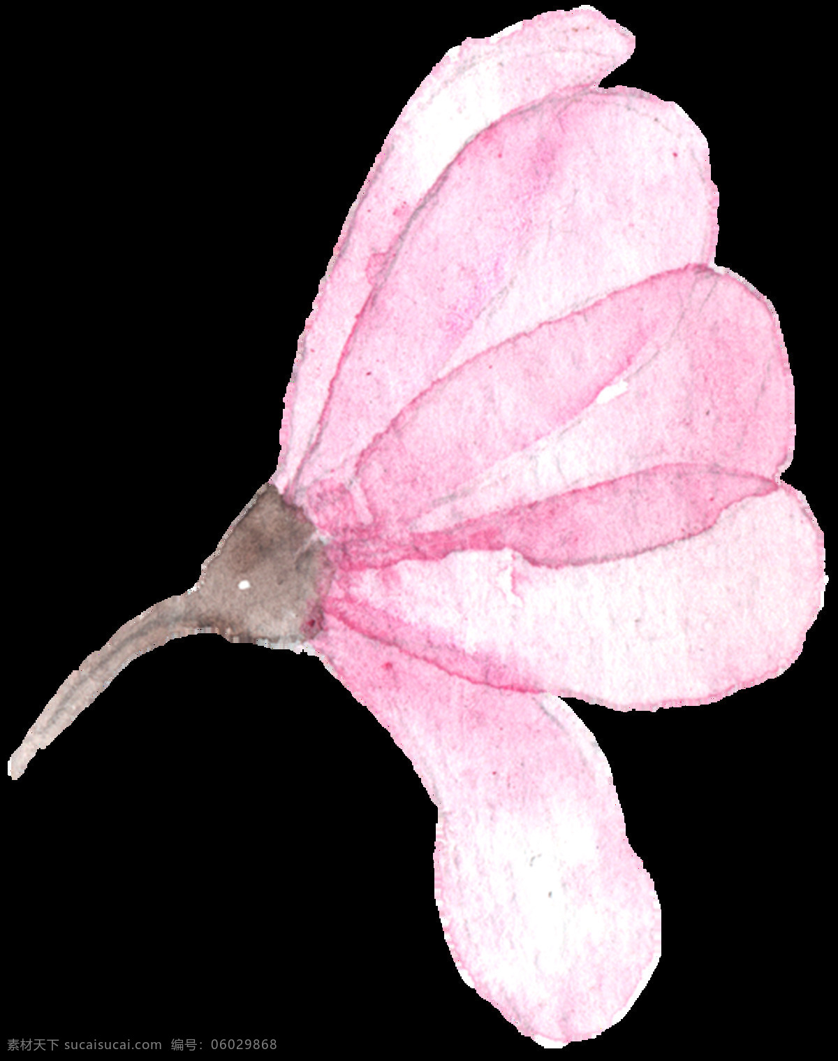 粉色 精美 花卉 卡通 透明 装饰 抠图专用 设计素材