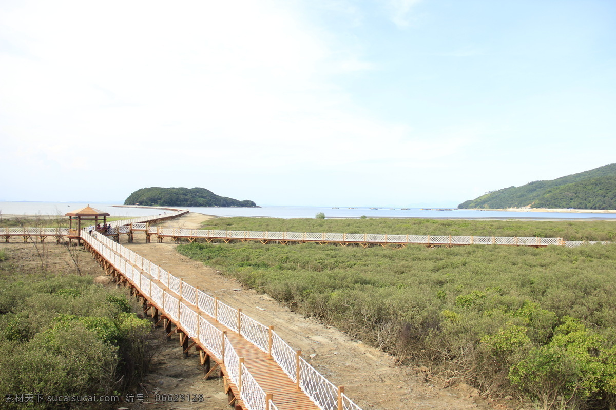 海陵岛 红树林 公园 树木 树林 滩涂 海边 老鼠山 桥 国家公园 湿地公园 中国海陵岛 旅游摄影 国内旅游