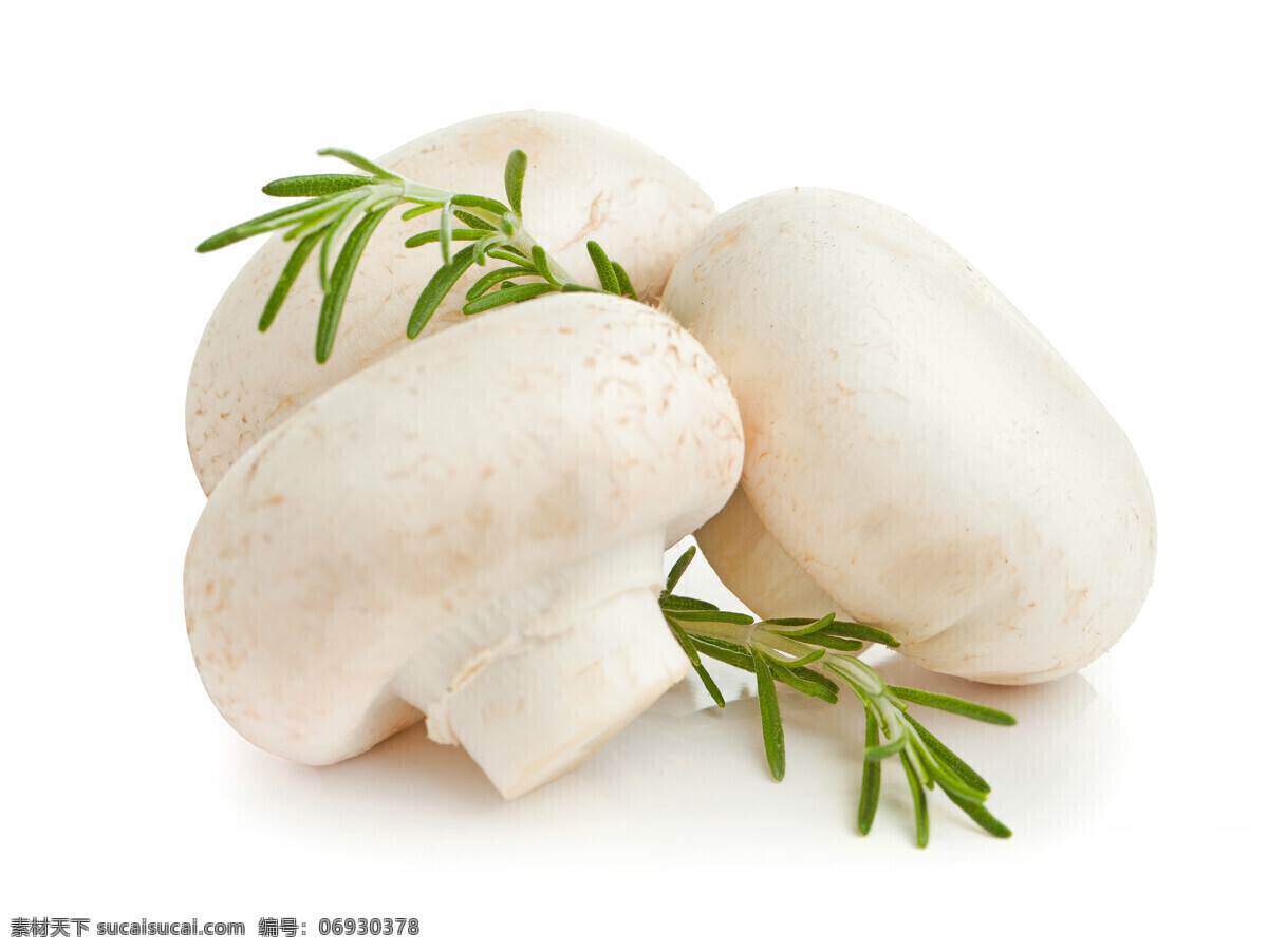 白色 磨 菇 香菇 蘑菇 菌类 蔬菜 食物原料 食材原料 食物摄影 餐饮美食 蘑菇图片