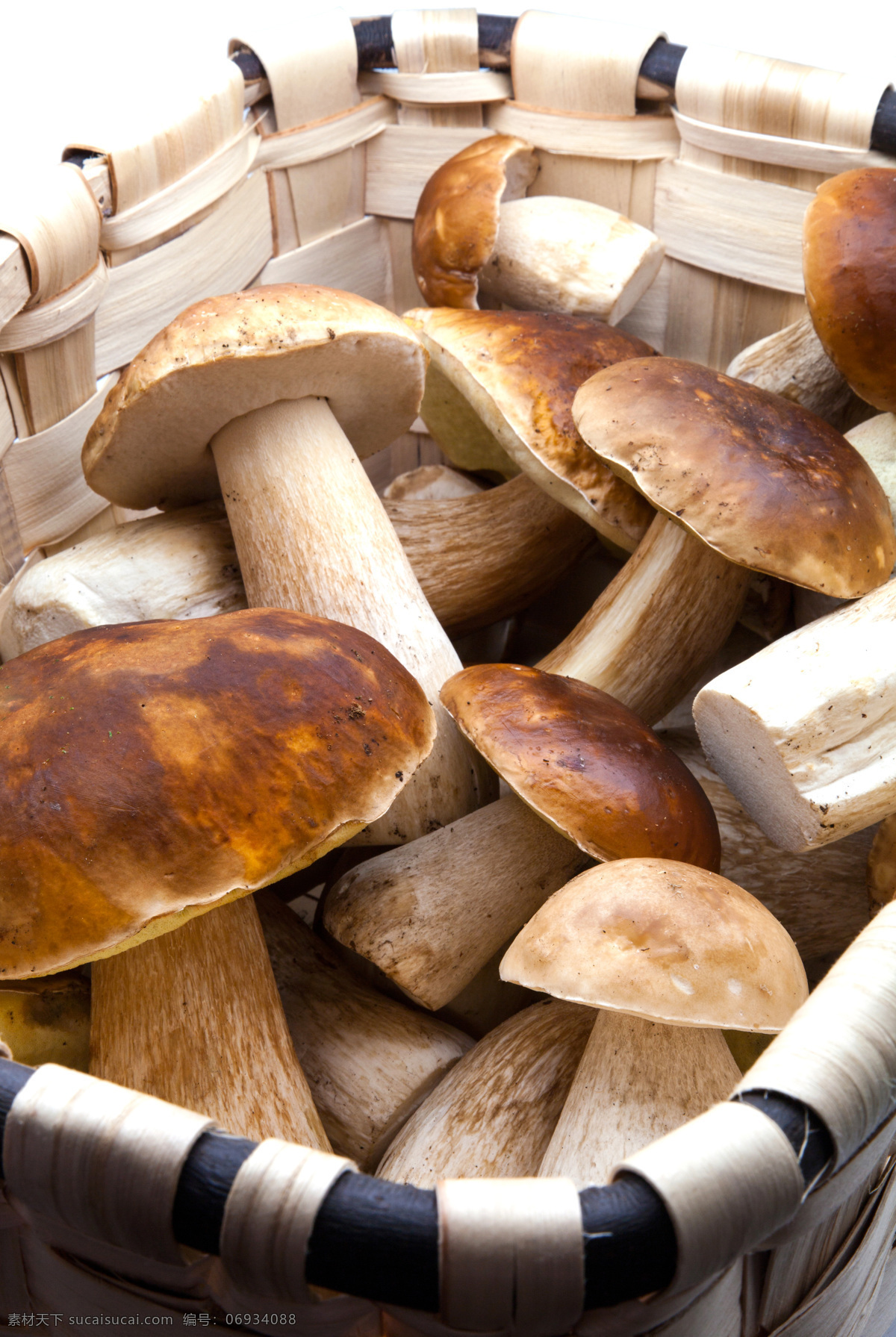 篮筐 里 蘑菇 菌 菌类食材 食材 食物原料 蘑菇图片 餐饮美食