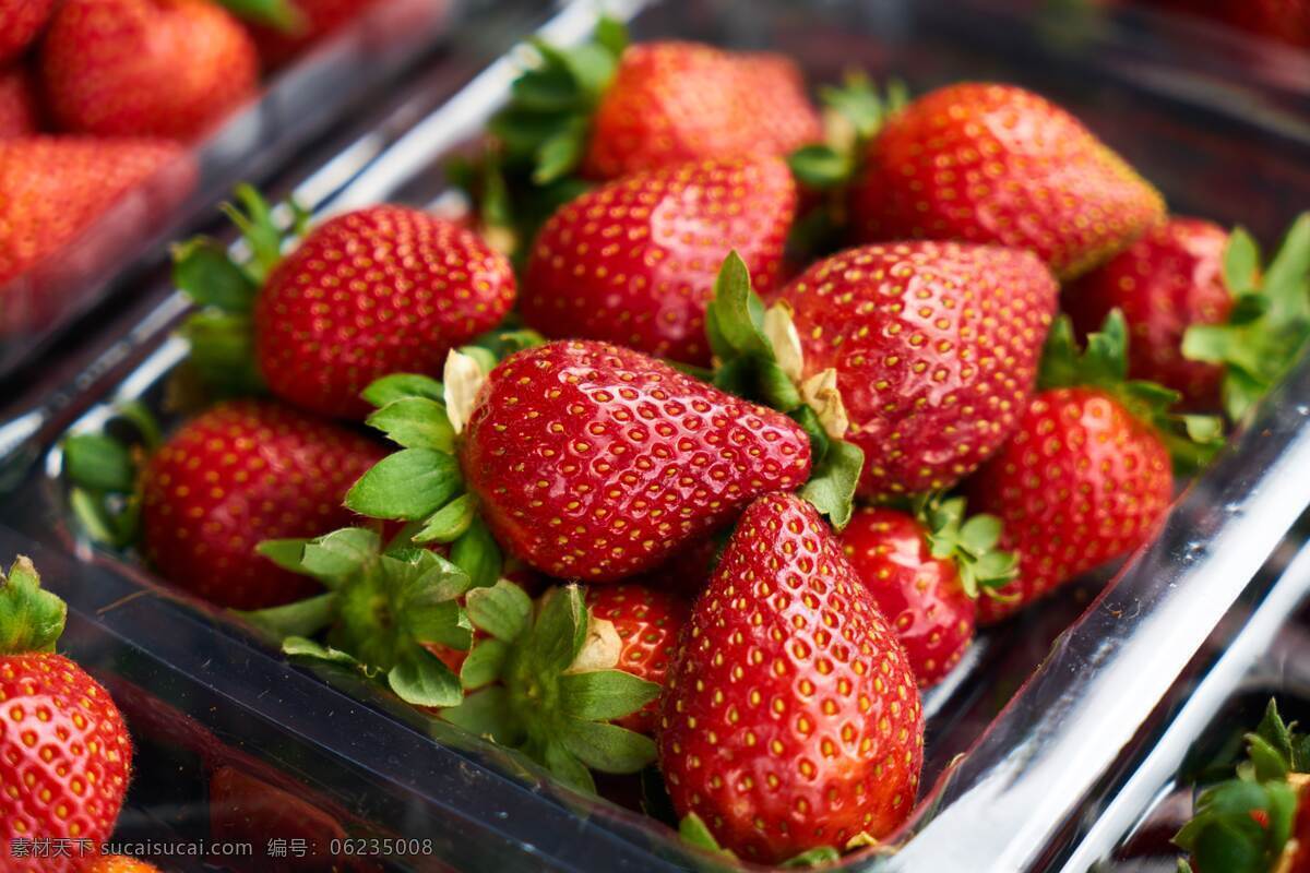 草莓 水果 静物 展品 餐饮美食