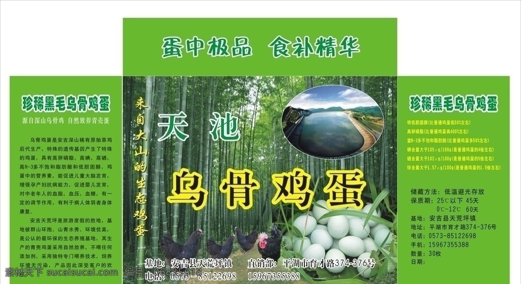 黑 毛 乌骨鸡 蛋 包装盒 绿色鸡蛋 矢量图 鸡 草地 广告设计模板 包装设计 源文件库 矢量