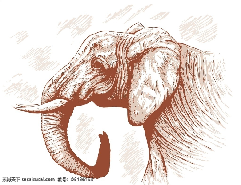 矢量大象 卡通大象 手绘大象 大象插画 大象速写 大象素描 线条大象 大象头像 动物 生物世界 野生动物