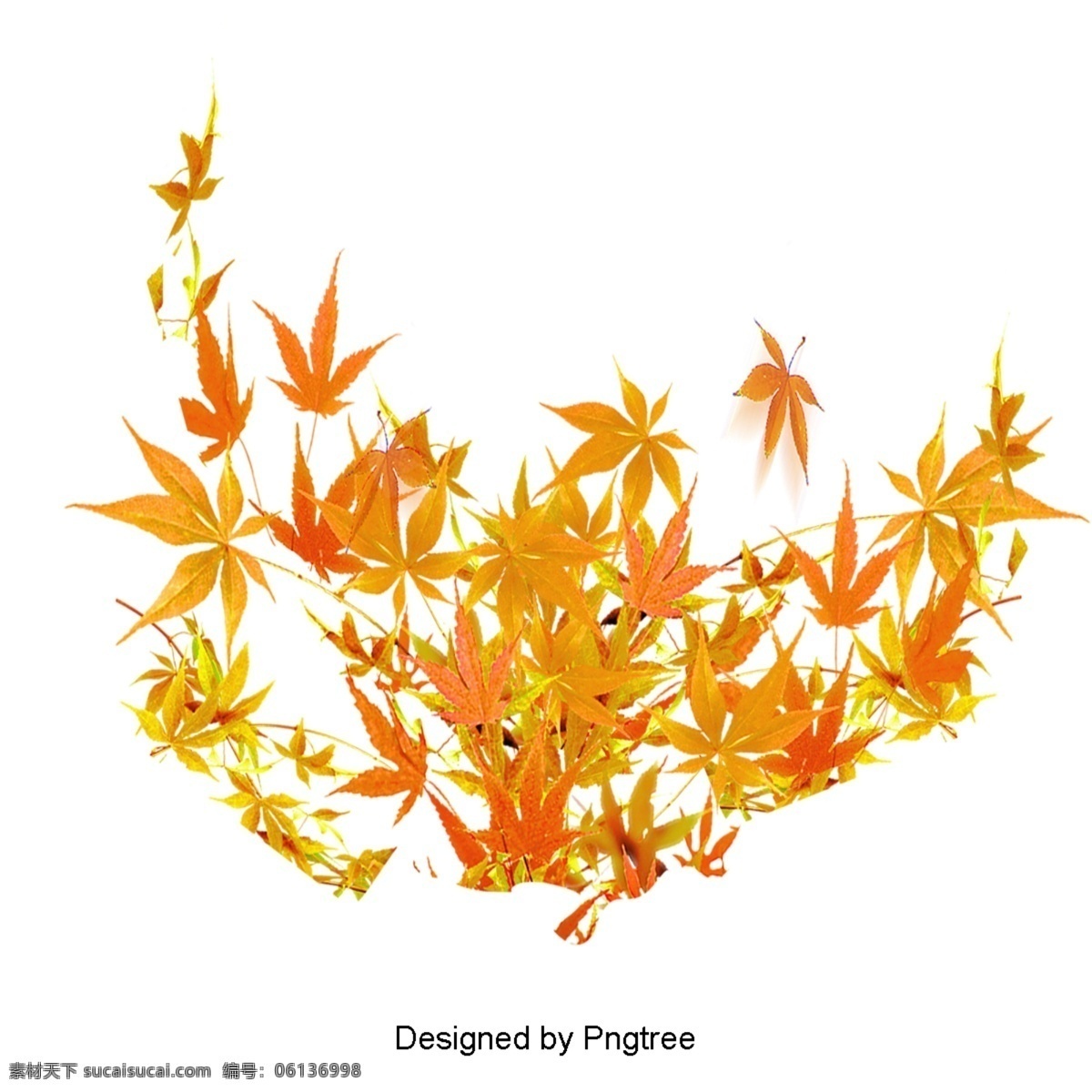 秋 枫叶 材料 秋天 树叶 落叶 许多 落下 悲伤 离开 橙色 黄色 家家 夹 一个