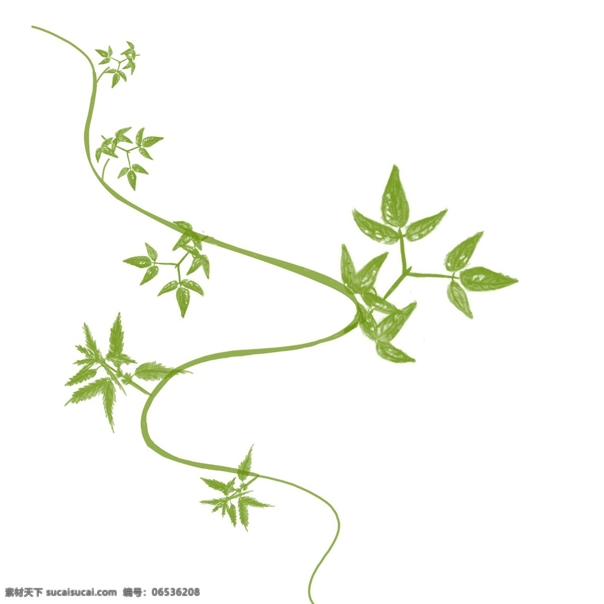 绿色 手绘 园艺 藤条 装饰 图案 植物 环保 天然 自然 森林 花艺 藤蔓 枝条 枝叶 树叶 叶子 绿叶 嫩绿 发芽