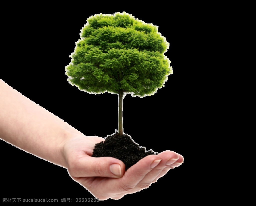 手掌 上 绿树 元素 png元素 环保 绿色 免抠元素 树木 透明素材