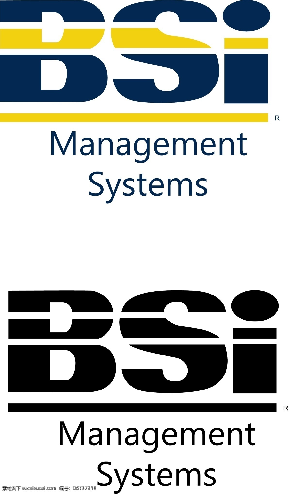 bsi 英国 标准 协会 management systems 白色