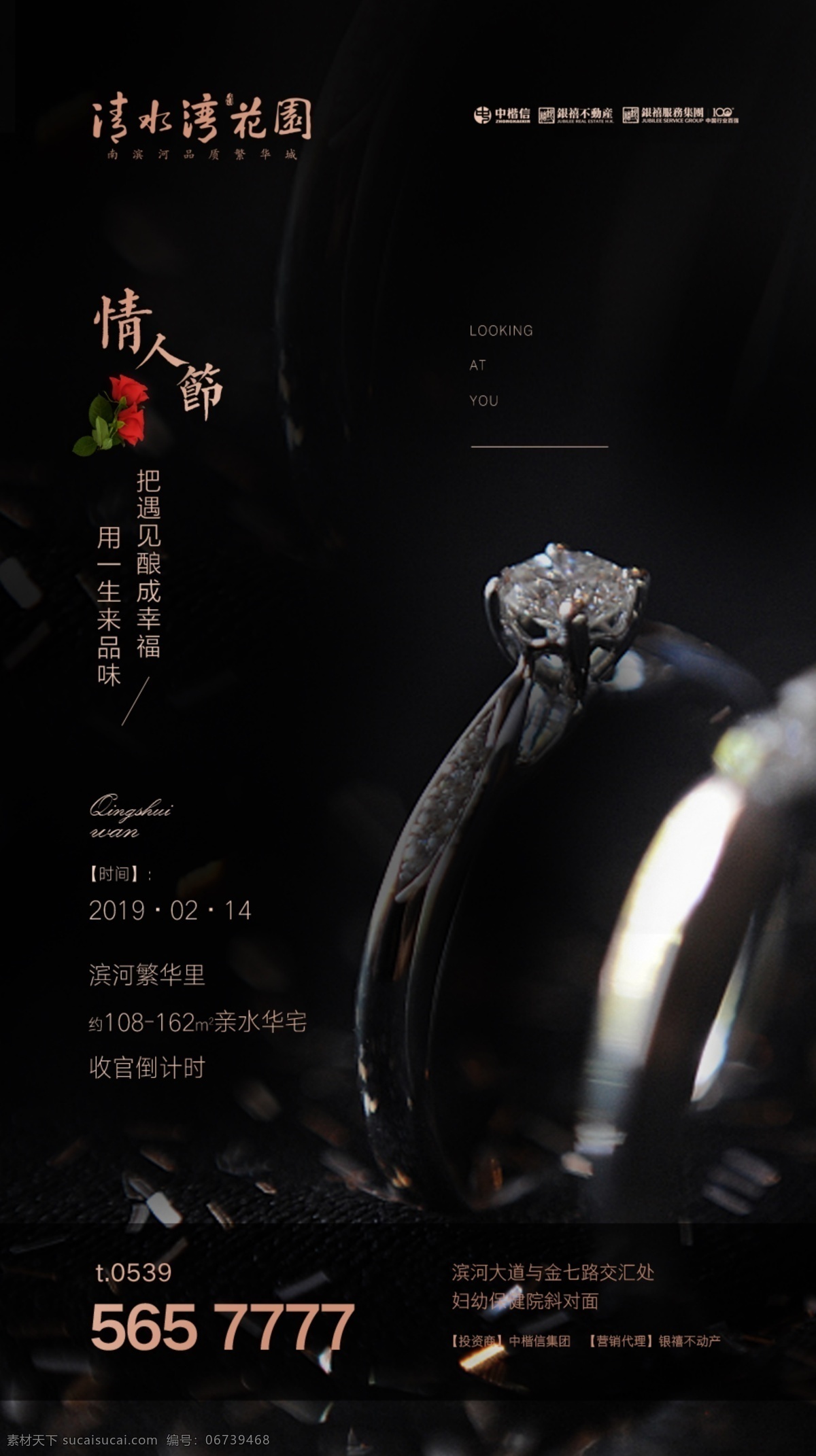 情人节微信 玫瑰 钻戒 黑色背景 节气微信 微信系列