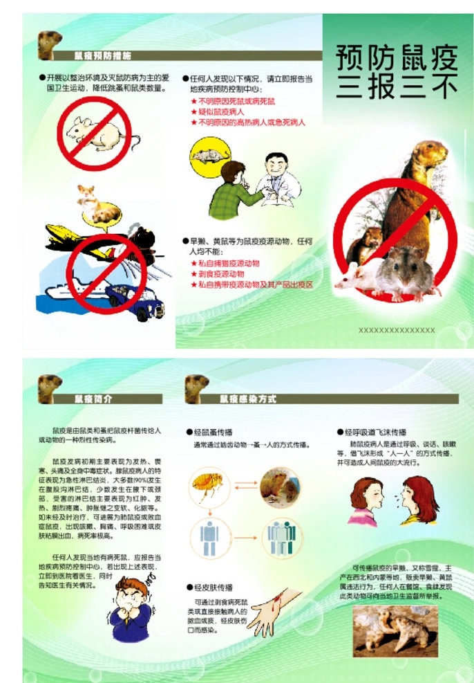 预防 鼠疫 三 折页 鼠疫防治预防 老鼠 预防鼠疫 卫生展板 健康素养 防治 防治鼠疫宣传 鼠疫标本 卫生宣传 灭鼠海报 警惕鼠疫 四害 展板模板 三折页 宣传单矢量 宣传单 喷画 dm宣传单
