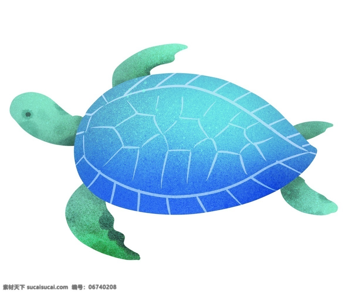 可爱海洋海龟 蓝色龟壳 小动物 海龟