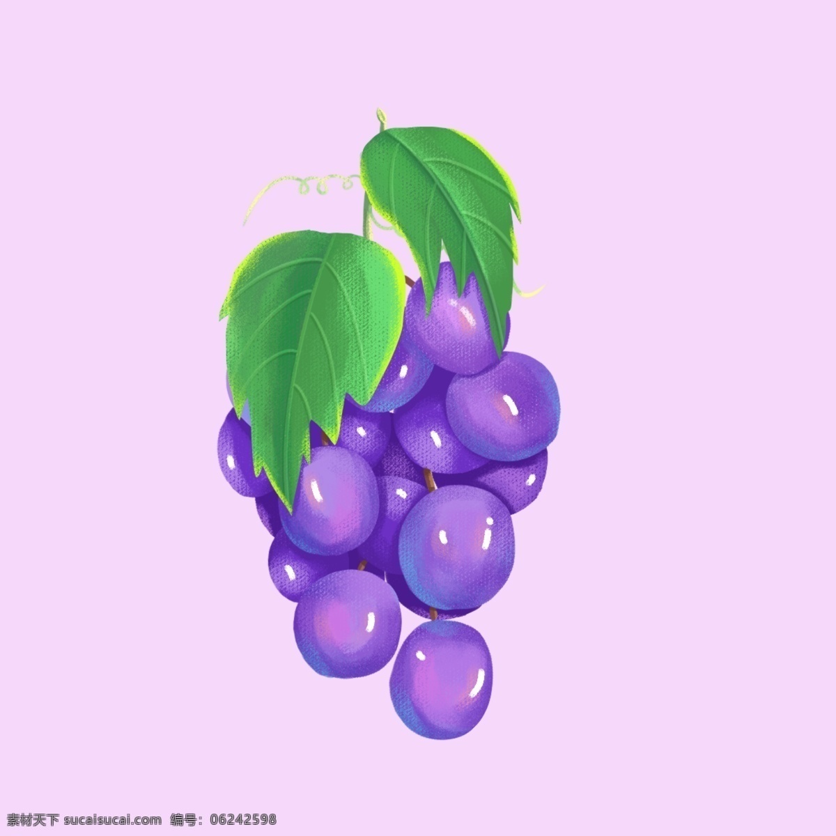 红葡萄 红色葡萄 紫葡萄 葡萄素材 无籽红提子 提子 手绘葡萄 葡萄插画 常用 海报 小 生物世界 水果