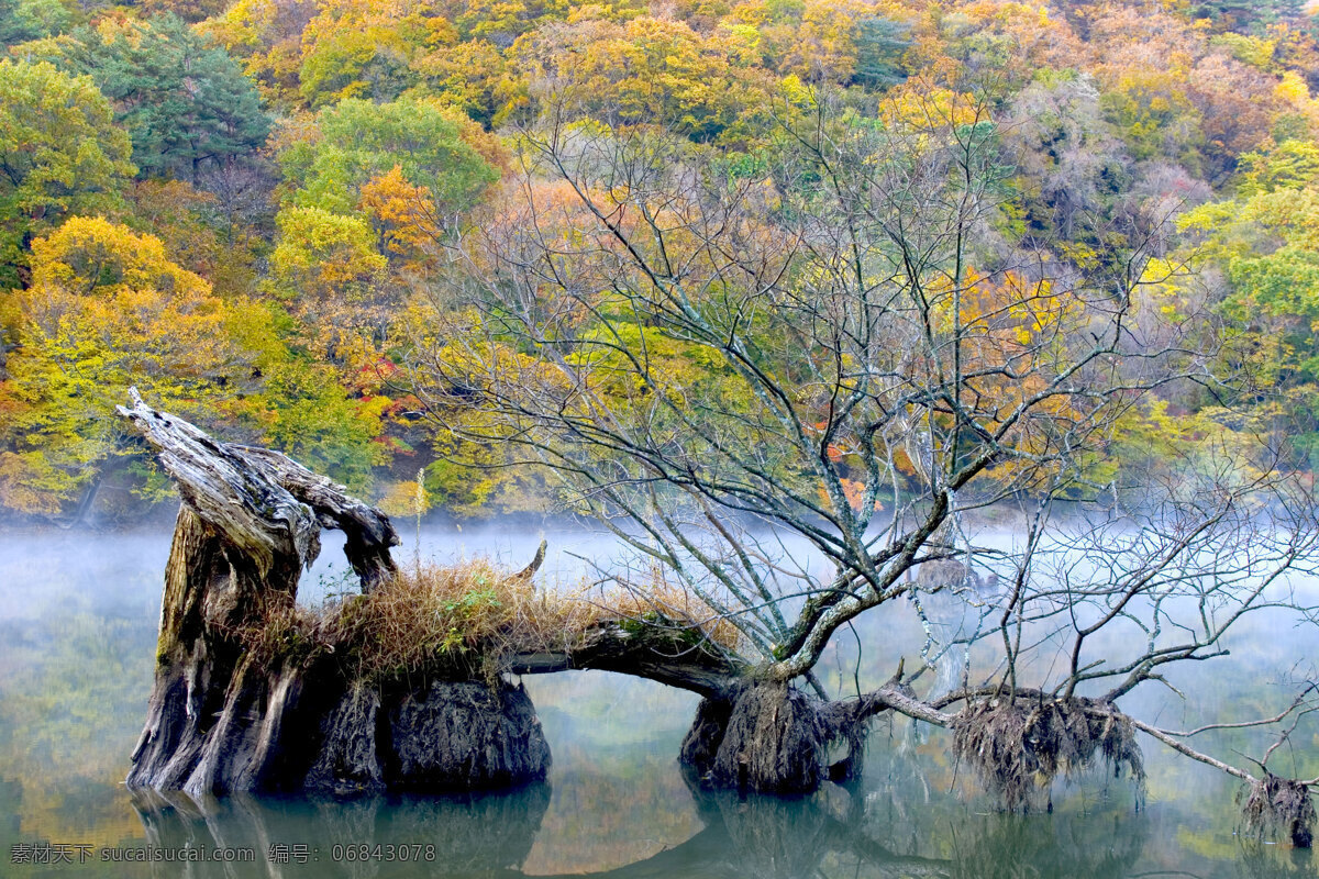 自然风景 风景 山水 田园 自然 家居装饰素材 山水风景画