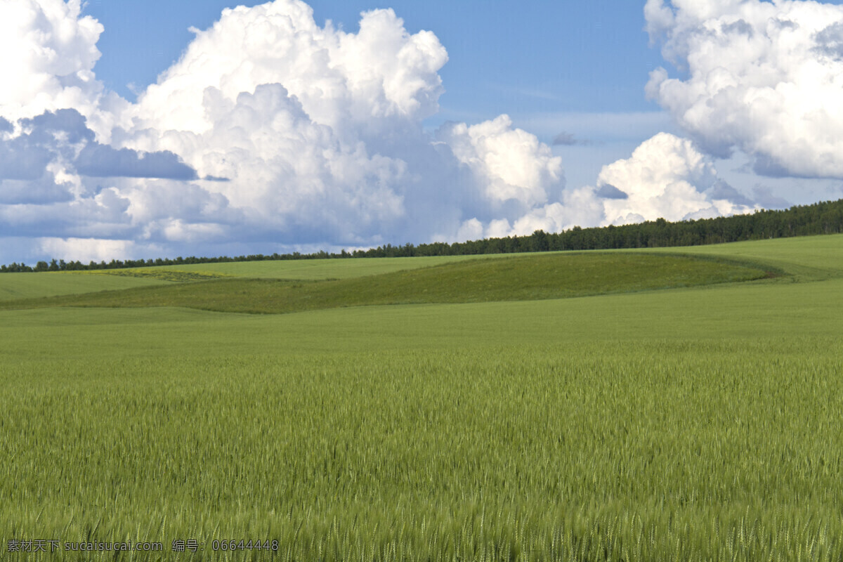 草原风景 天空 蓝天白云 旅游 风景 美景 自然景观 自然风景 旅游摄影 草原 草地 白色