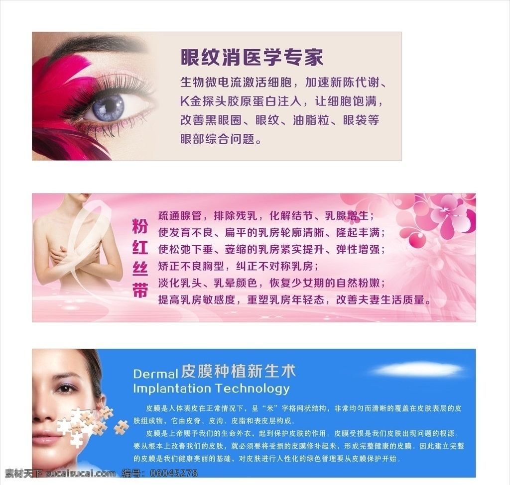 美眼看世界 眼 胸 皮肤 美容 彩色 矢量