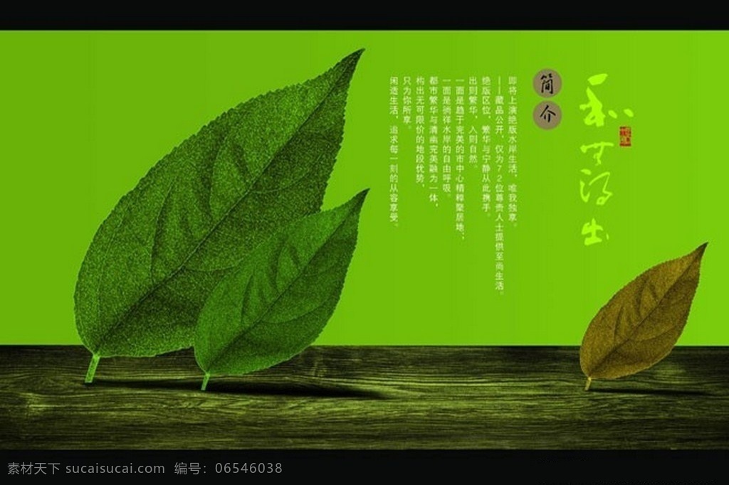 树叶 封面 画册设计 叶子 枯叶 木纹 树木 书法 艺术 画册简介 企业文化