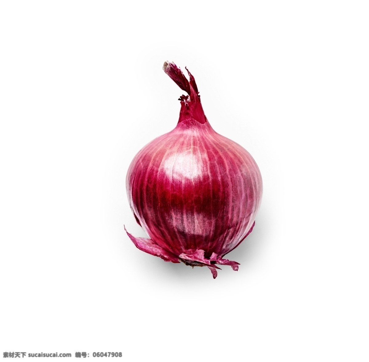 手绘 逼真 3d 一个 洋葱 源文件 食物 紫色 蔬菜 烹饪 装饰图案