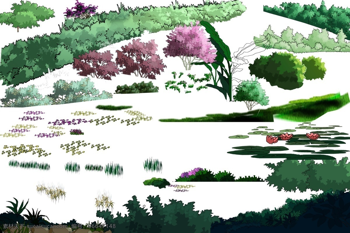 手绘 立面 树 园林手绘 立面树 植物景观 psd图层分 psd源文件