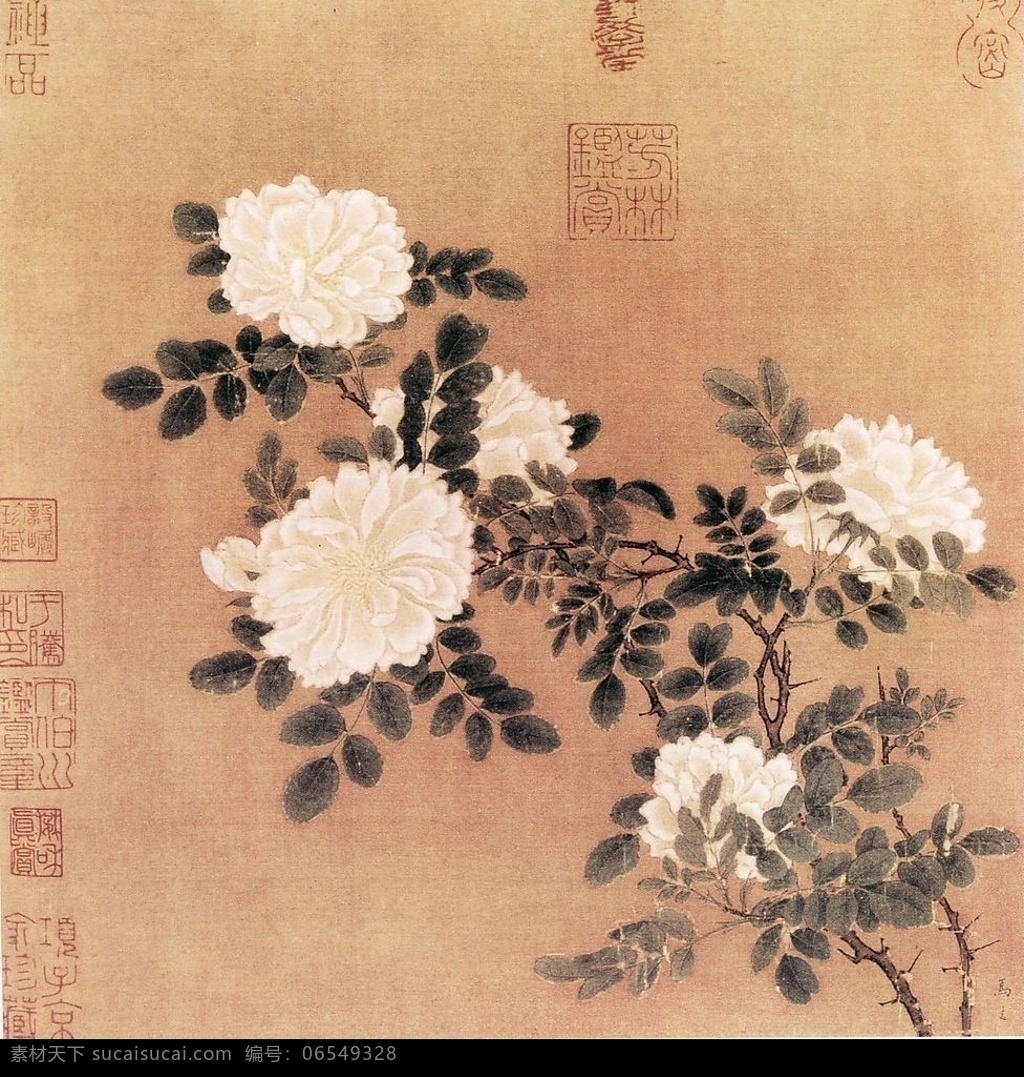白蔷薇图 国画 蔷薇 文化艺术 绘画书法 国画花鸟 设计图库