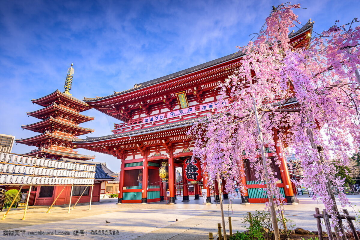 美丽 日本 樱花 风景 唯美 樱花风景 日本建筑 亭台 楼阁