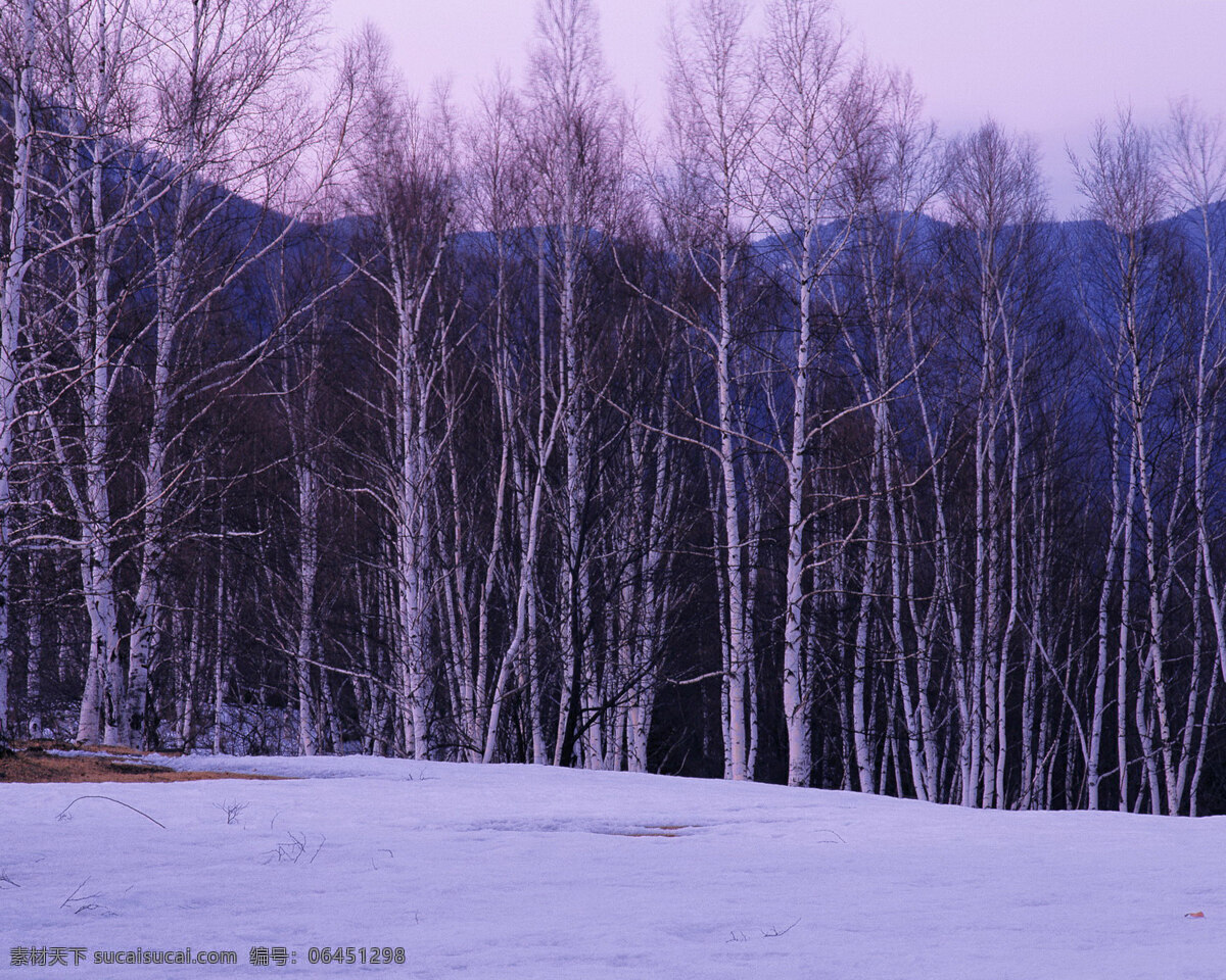 冬天 雪景 背景 冬天雪景 风光 风景 季节 摄影图库 自然 自然风景 自然景观 生活 旅游餐饮