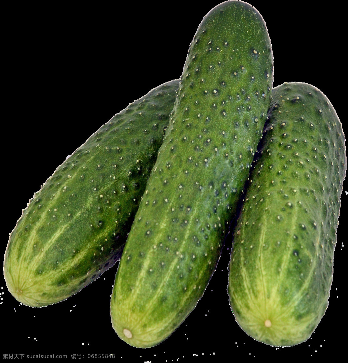 黄瓜 瓜 青瓜 素菜 绿色 新鲜 食材 农作物 生物世界 蔬菜 生活用品 生活百科