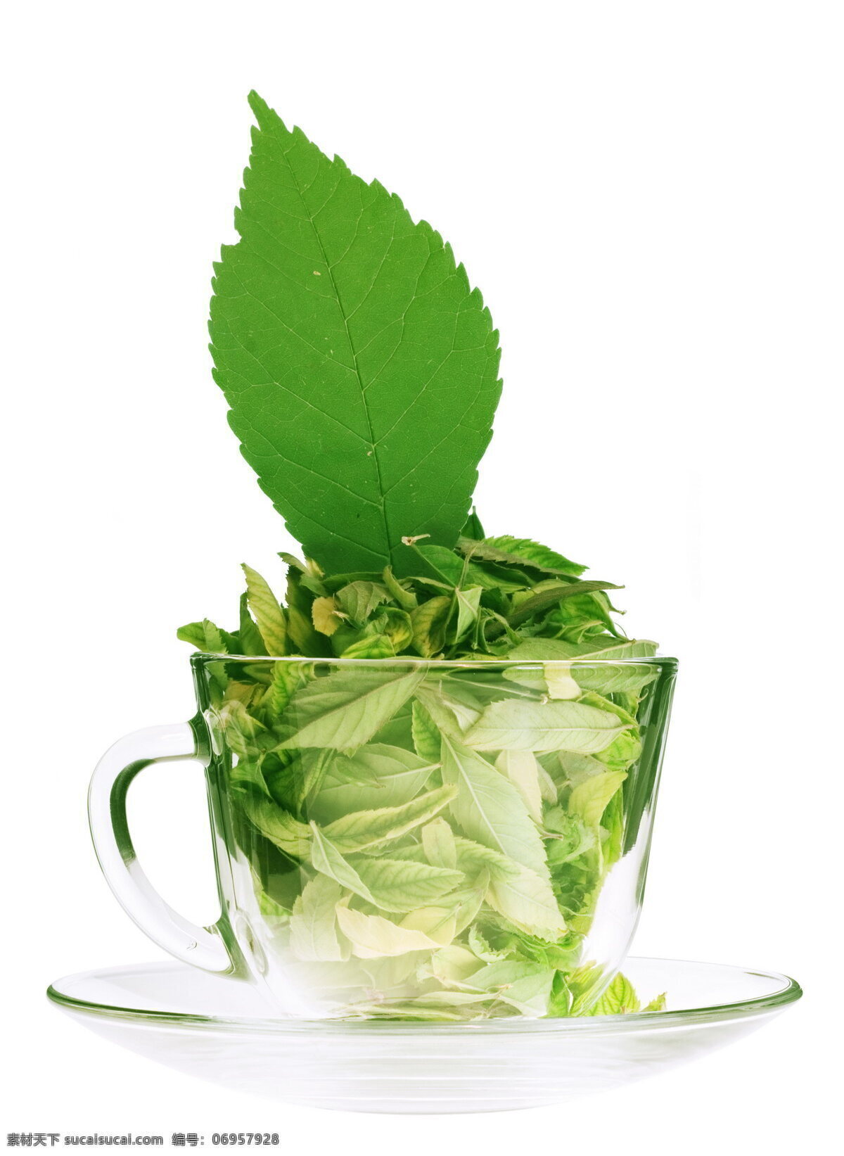 茶叶 玻璃杯 杯子 茶杯 透明 绿色 茶多酚 树木树叶 生物世界
