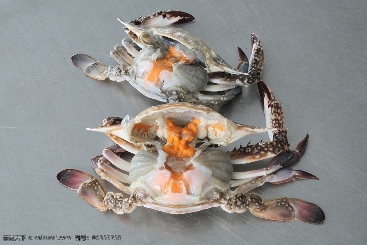 海蟹 大海蟹 小海蟹 蟹黄 灰色背景 传统美食 餐饮美食