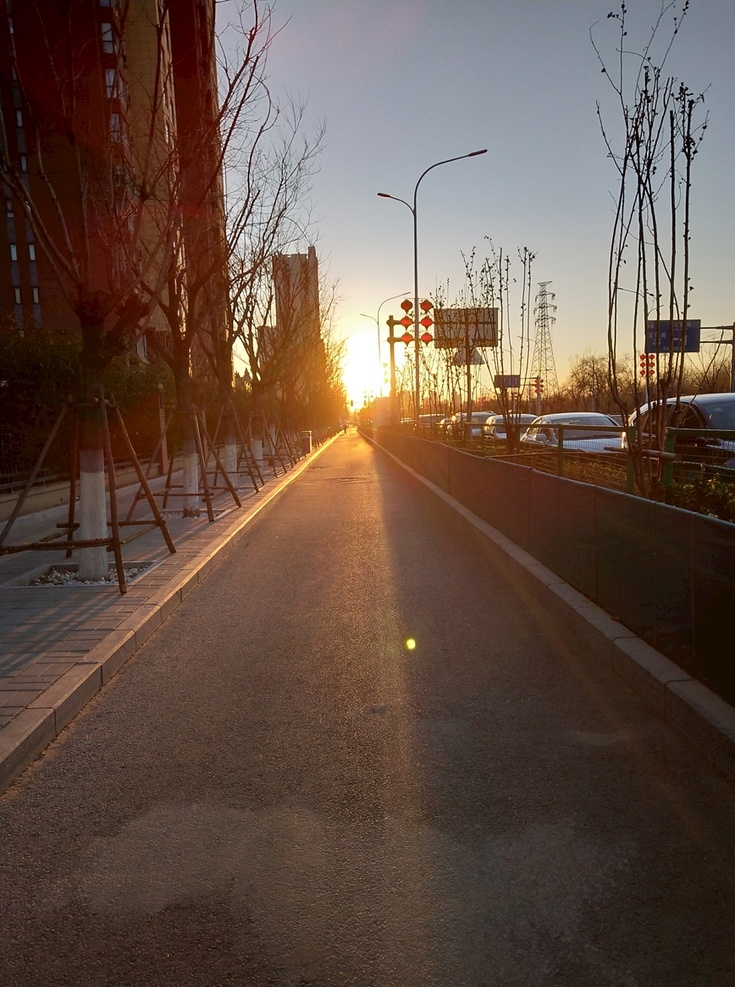 早晨 光 树木 道路 公路 自然 背景 夏天 阳光 特写 户外 春天 早安 早上好 早 励志 正能量 企业文化 青春 清晨 早起 拼搏 奋斗 加油 自然景观 自然风景