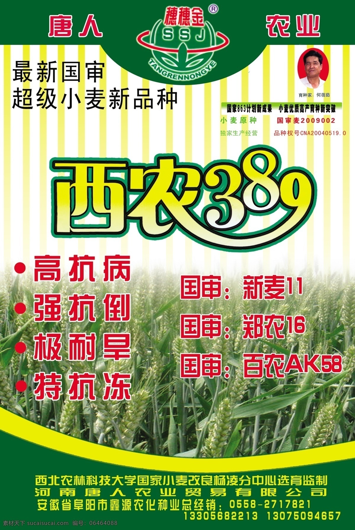 小麦宣传单页 农作物 宣传 彩页 绿色 麦 分层 源文件