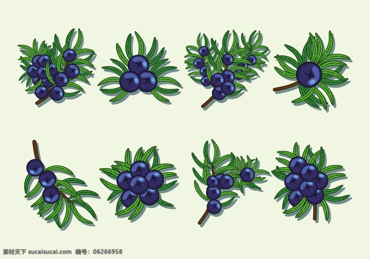 手绘浆果植物 手绘浆果 浆果 手绘植物 植物素材 矢量素材 手绘蓝莓 果实