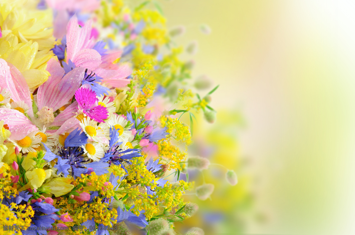 花朵 鲜花 花 叶子 绿叶 花卉 鲜花摄影 花草树木 生物世界 黄色